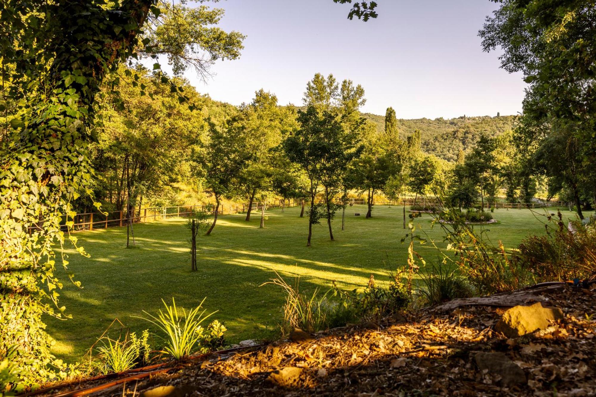 Podere La Casina Country Chic Rigomagno ภายนอก รูปภาพ